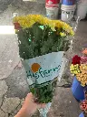 z6713715614329_14120ee240306be419a0531ad2965ec6.webp