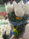 z6713764173510_9bd7f6a084dbe2856d82937e8ba5e6d3.webp