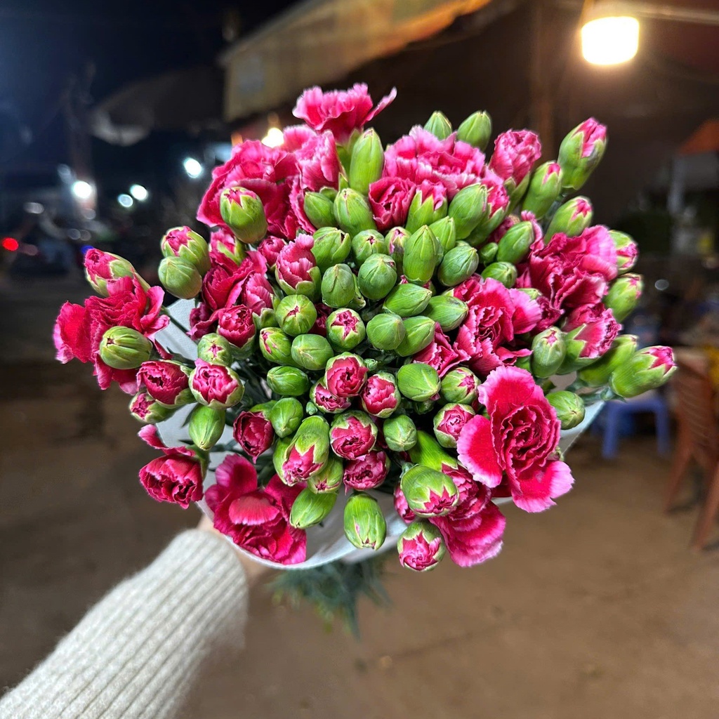 Cẩm chướng chùm Đà lạt - Đỏ hồng (20 cành)