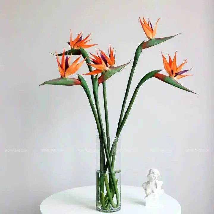 Thiên điểu (10 bông/bó)