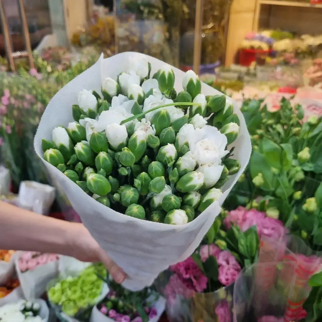 Cẩm chướng chùm Đà lạt - Trắng (20 cành)