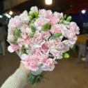 Cẩm chướng chùm Đà lạt - Hồng phớt (20 cành)