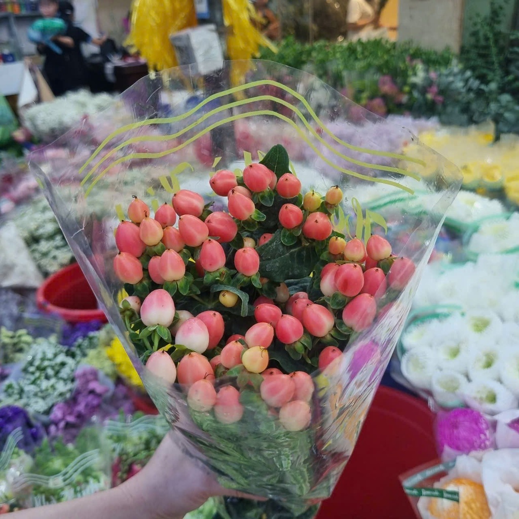 Chuỗi ngọc đỏ (10 cành)