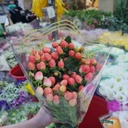 Chuỗi ngọc đỏ (10 cành)