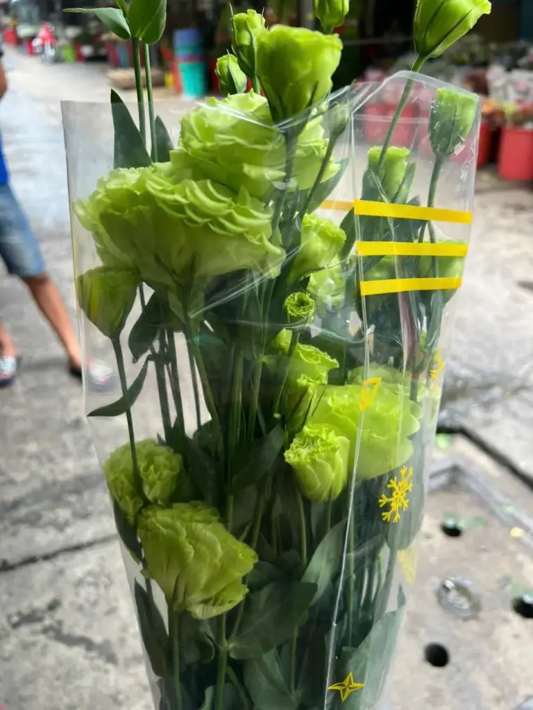 Cát Tường xoăn - xanh  (1kg)