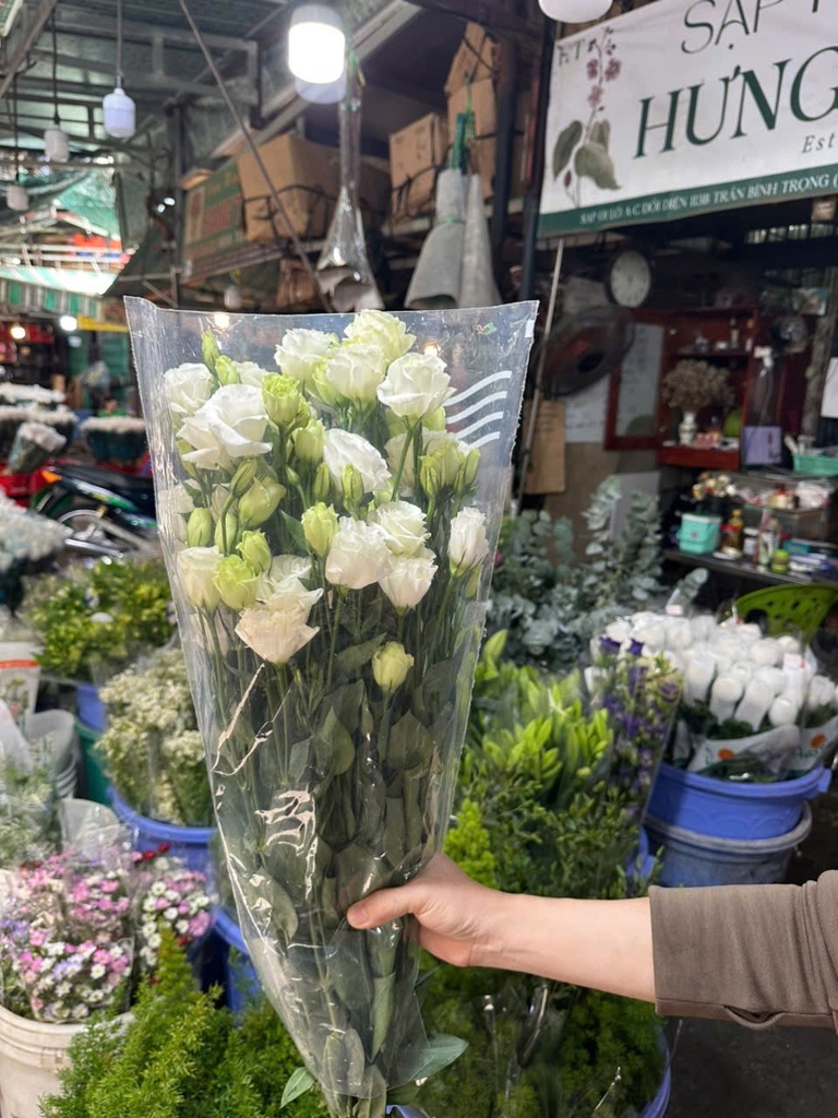 Cát tường Xoăn - Trắng (Bó 0,5kg)
