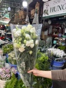 Cát tường Xoăn - Trắng (Bó 0,5kg)