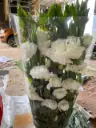 Cát Tường xoăn – trắng (1kg)