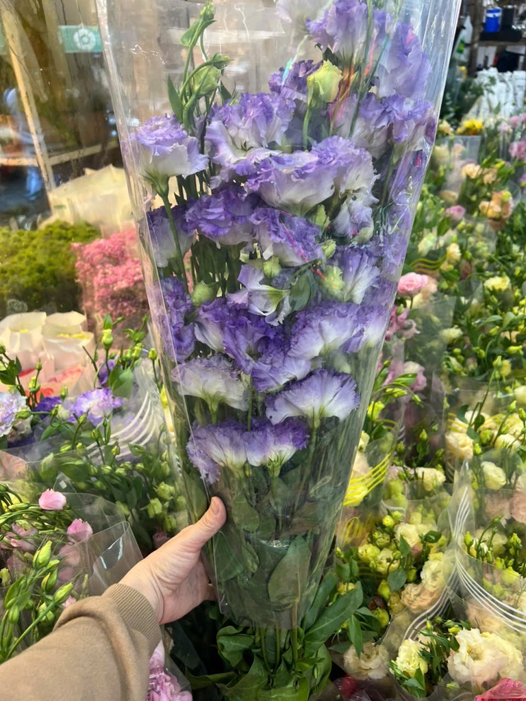 Cát tường - Trắng viền tím (Bó 0,5kg)
