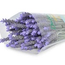 Lavender tươi (100 cành)