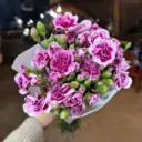 Cẩm chướng chùm Đạt Lạt - Tím mận (20 cành)