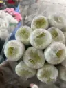 Cúc magnum trắng, hàng A (10 bông) 